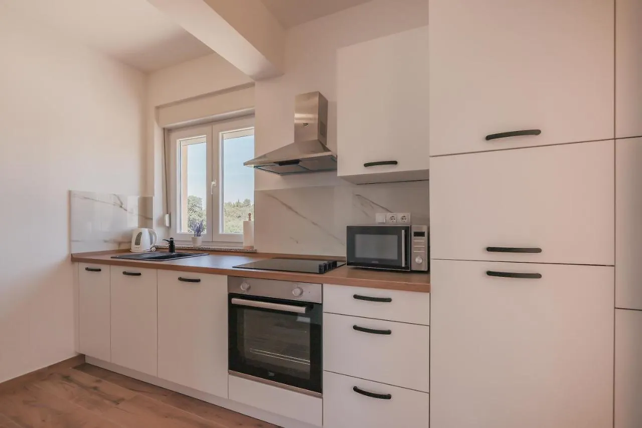 Apartment Bojana Petrcane