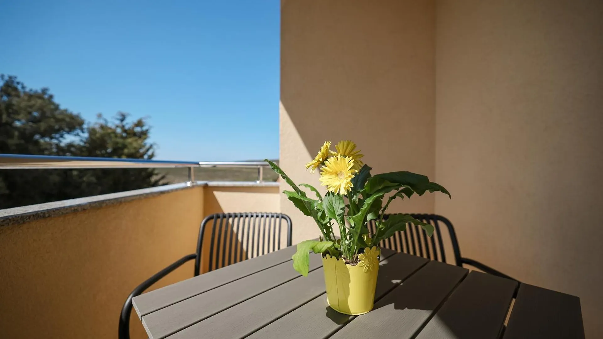 Apartment Bojana Petrcane 0*,  Croazia