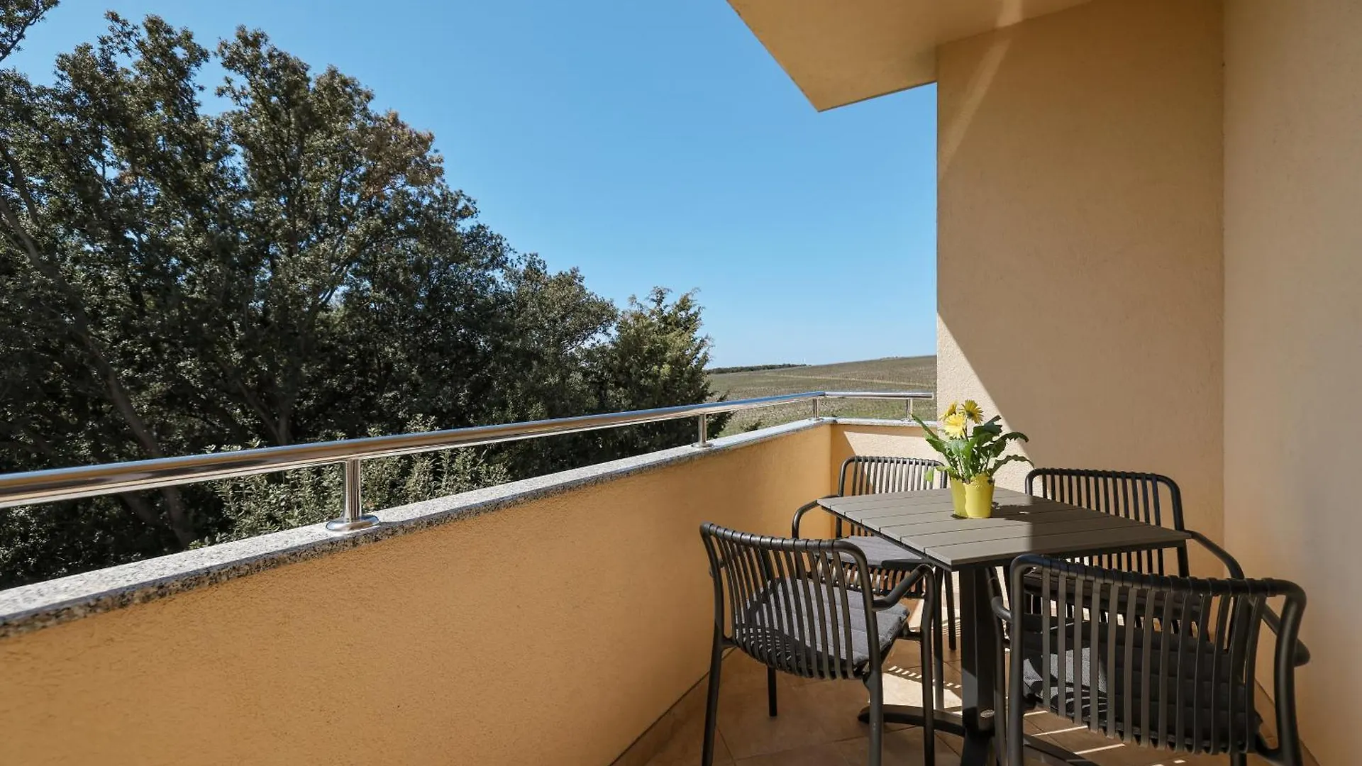 Apartment Bojana Petrcane